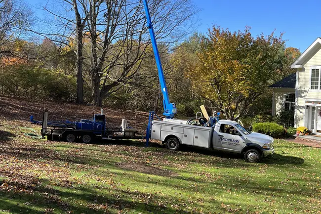 Professional Plumbing Repair